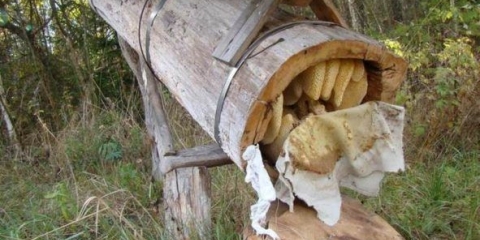 Špil za pčele: kako to učiniti sami, crteži